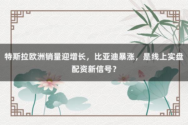 特斯拉欧洲销量迎增长，比亚迪暴涨，是线上实盘配资新信号？