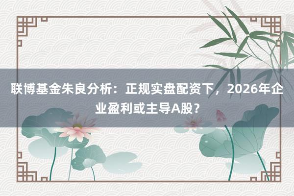 联博基金朱良分析：正规实盘配资下，2026年企业盈利或主导A股？