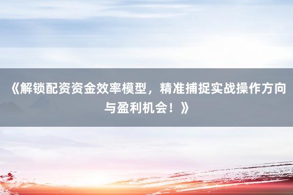 《解锁配资资金效率模型，精准捕捉实战操作方向与盈利机会！》