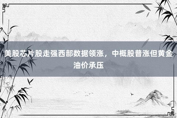 美股芯片股走强西部数据领涨，中概股普涨但黄金油价承压