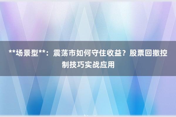 **场景型**：震荡市如何守住收益？股票回撤控制技巧实战应用