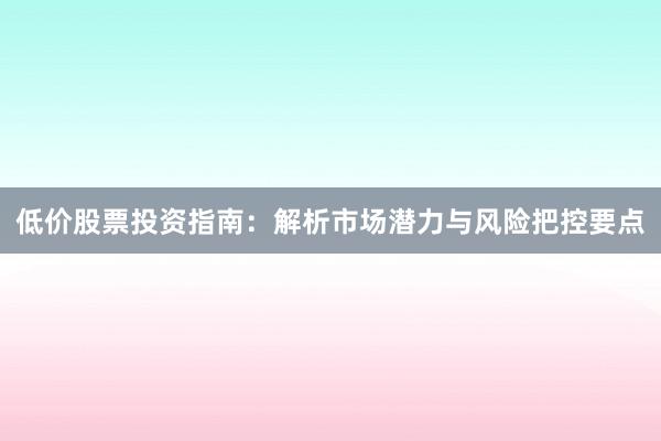 低价股票投资指南：解析市场潜力与风险把控要点