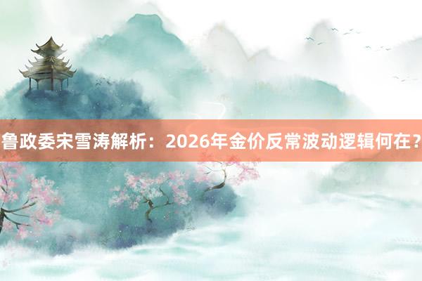 鲁政委宋雪涛解析：2026年金价反常波动逻辑何在？