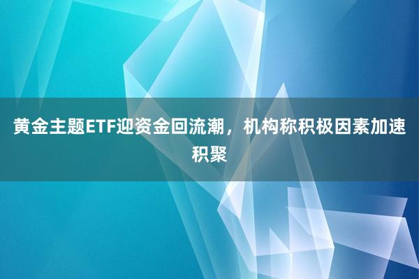 黄金主题ETF迎资金回流潮，机构称积极因素加速积聚